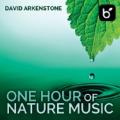 One Hour Of Nature Music: For Massage, Yoga And Relaxation artwork