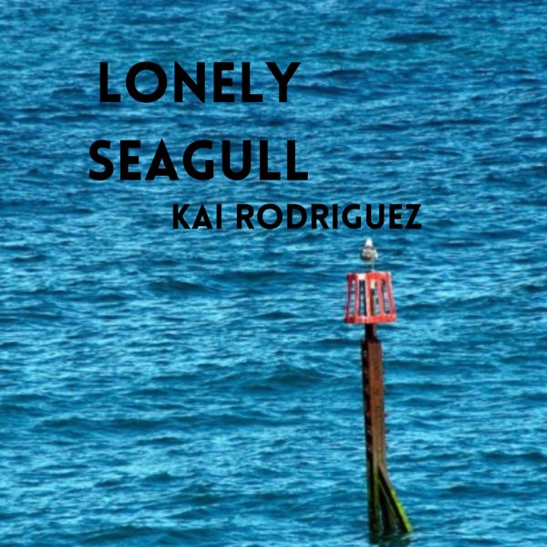 Lonely Seagull