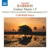 Barrios Mangoré: Guitar Music, Vol. 5 artwork