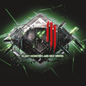Scary Monsters and Nice Sprites - Skrillex Cover Art