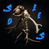 Seeds - Single