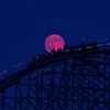 Moonlight - Single