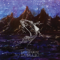 David Gray - Skellig artwork