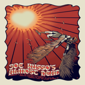 St. Louis, MO :: 2019-02-16 - Joe Russo's Almost Dead