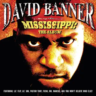 Like a Pimp (feat. Lil' Flip) by David Banner song reviws