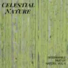 Celestial Nature - Inseparable Part of Nature, Vol. 5 album lyrics, reviews, download
