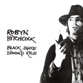 Robyn Hitchcock - It's a Mystic Trip