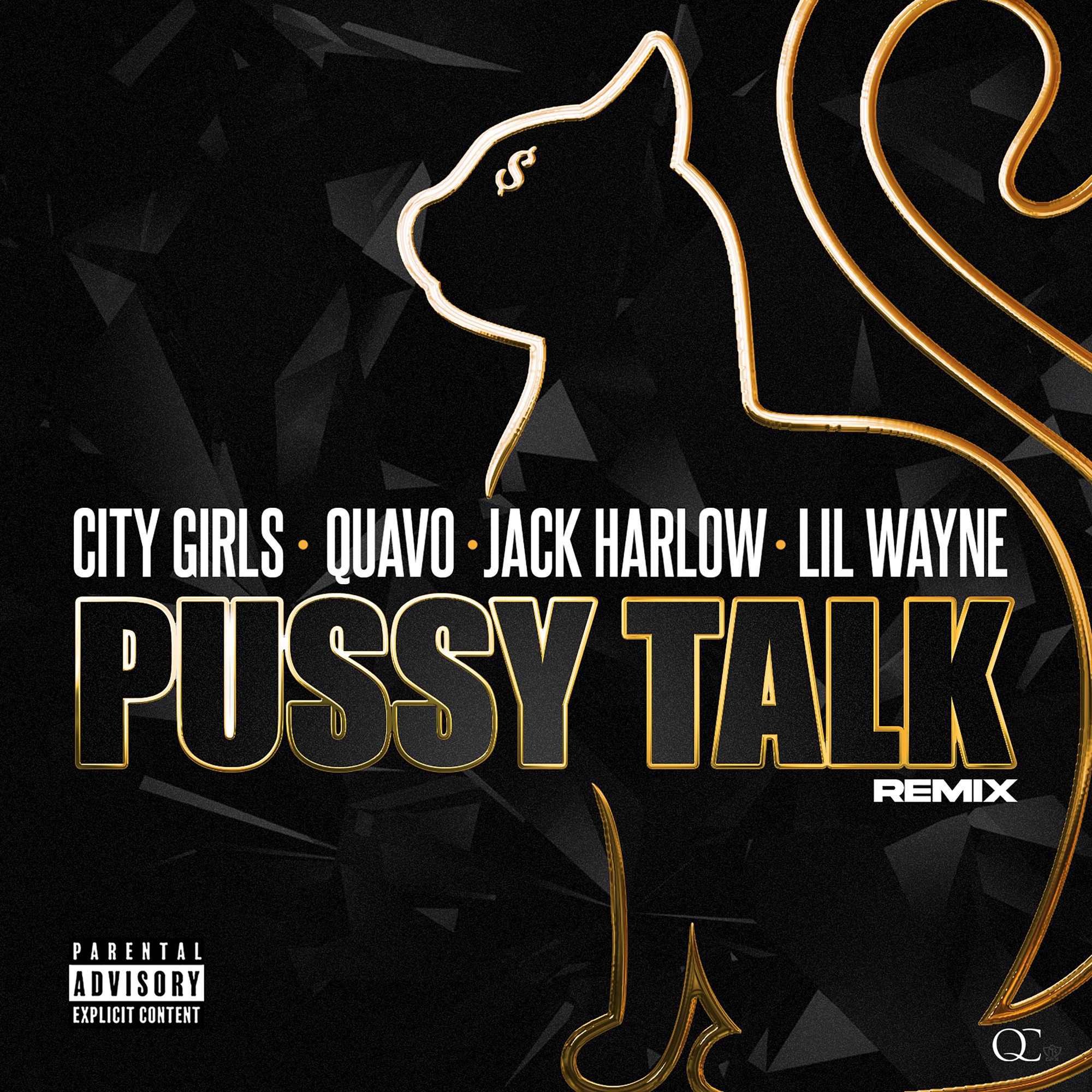 City Girls, Quavo & Lil Wayne - Pussy Talk (Remix) [feat. Jack Harlow] - Single