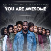You Are Awesome (feat. Melisa) artwork