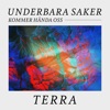 Underbara saker kommer hända oss by Terra  iTunes Track 2