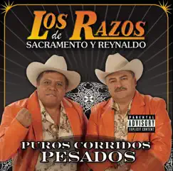 Puros Corridos Pesados by Los Razos album reviews, ratings, credits