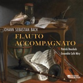 Bach: Flauto accompagnato artwork