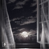 Ghost in the Machine artwork