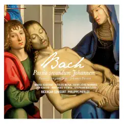 St. John Passion: Part One Coro. Herr, unser Herrscher Song Lyrics