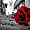 She Is the One - Single