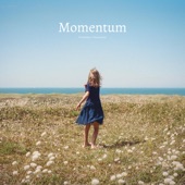 Momentum artwork