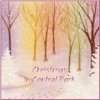 Christmas in Central Park