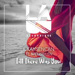 Till There Was You (feat. Melis Bilen) Song Lyrics