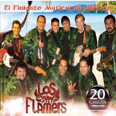 La Cacerola - Los Flamers | Shazam