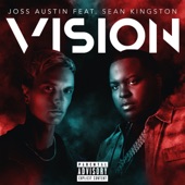 Vision (feat. Sean Kingston) artwork