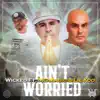 Ain't Worried (feat. MC Magic & Lil Koo) - Single album lyrics, reviews, download
