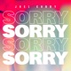 SORRY cover art