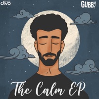 Album CALM - Gubbi