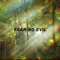 Fear No Evil (feat. Anna Kara) - Meyta lyrics