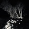 Like a Black Cat In the Night - Warmtapes lyrics