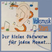 Countrymusic im Schwarzwaldtal artwork