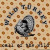 Call of the Wild - EP