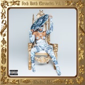 Rich Bitch Chronicles, Vol. 1 artwork