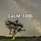 Calm Soul - Peace of Mind lyrics