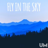 Fly in the Sky artwork