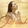 Vem Com Tua Shekinah - Single