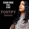 Fortify (feat. Kynt) [Victor Cabral 4Am Remix] - Edson Pride lyrics