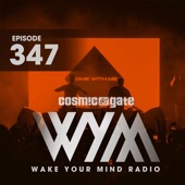 Wake Your Mind Radio 347 artwork