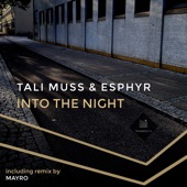 Into the Night (Mayro Remix) artwork