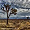 Song of the Standing Stone (Homage to Harold Budd) artwork