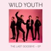 The Last Goodbye - EP artwork