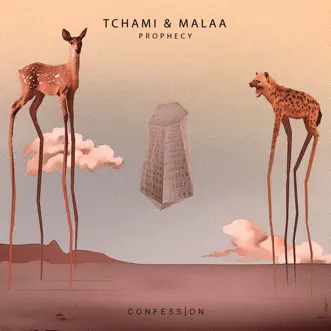 Prophecy by Tchami & Malaa song reviws