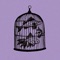 Rule #21 - Momento Mori - Fish in a Birdcage lyrics