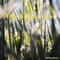 Life on Land - AMPai Music lyrics