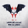 Aripi De Liliac - Single