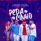 Pedacinho (Ao Vivo) artwork