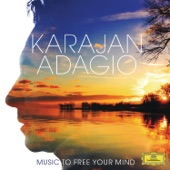 Karajan Adagio - Music To Free Your Mind artwork
