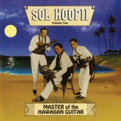 Master of the Hawaiian Guitar, Vol. 2 artwork