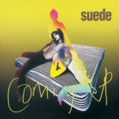 Suede - Picnic By the Motorway