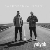 Yol Yok (feat. 9 Canlı) artwork