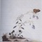 Dactylorhiza Elata - Botanist lyrics